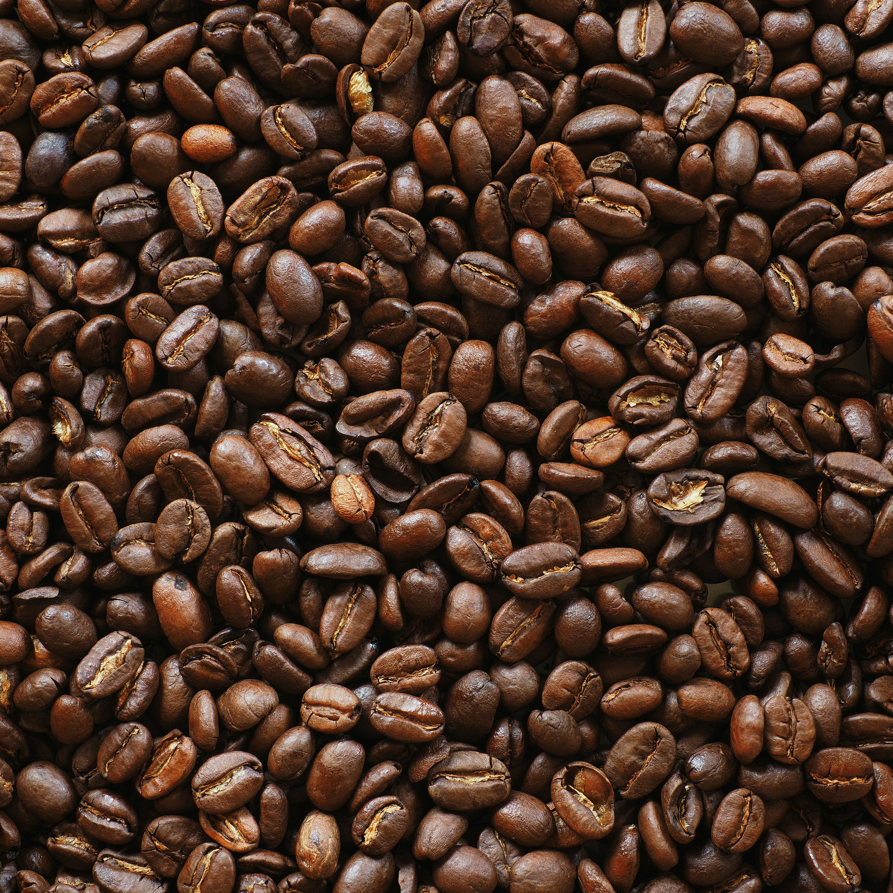 Lukasz Rawa  - Rocte Coffee Company